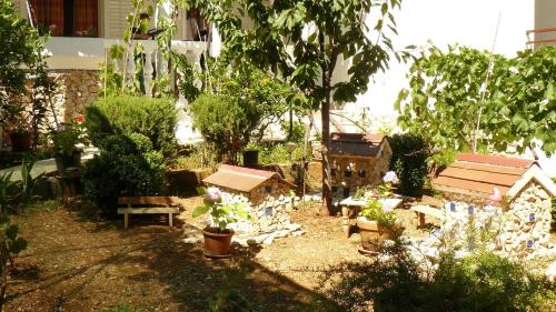 Apartments Fran - 150m from beach - image 2