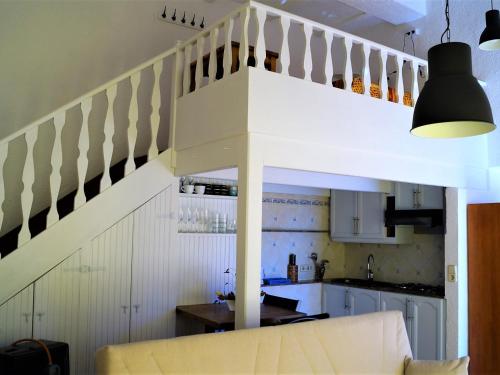 Loft kiwi