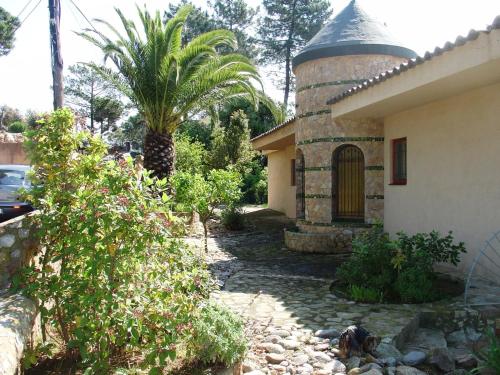 Torre - image 5