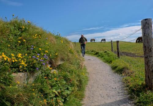 Ballybunion Holiday Homes No 27 - image 4