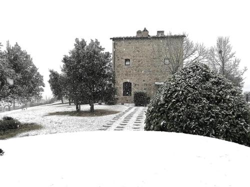 La Leopoldina Holiday Home - image 4