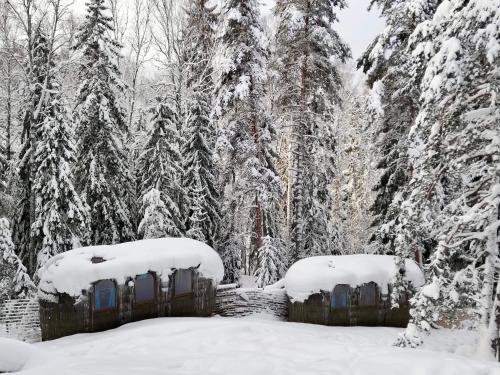 Vista exterior, Igluhut – Sleep with reindeer in Hyvinkää