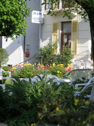 Hotel des Alpes - image 7