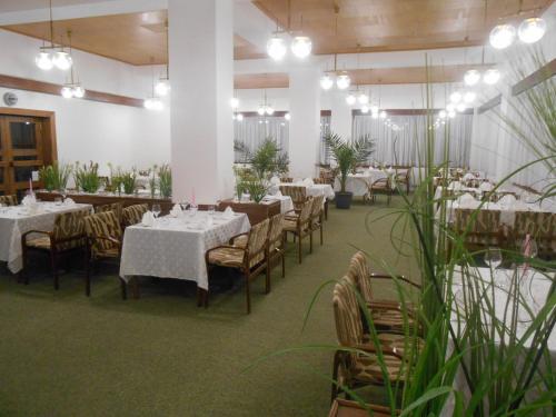 Hotel Bitov in 比托夫