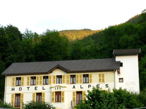 Hotel des Alpes - image 11