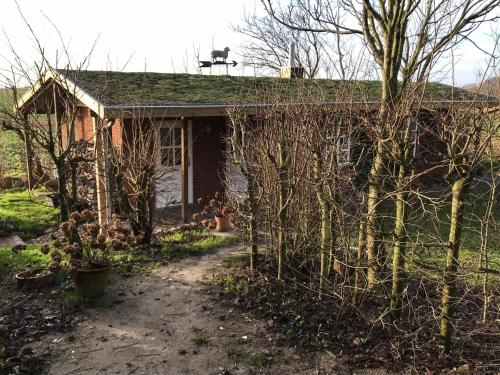Gartenhaus Frieda in Galmsbüll, Deutschland