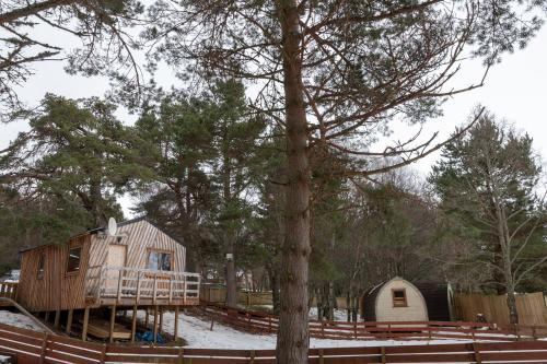 Skats, Pine Marten Bar Glenmore Treehouse in Lohmorliha