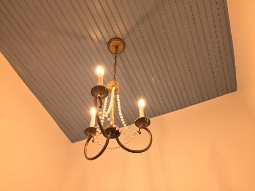 Painted Lady Bed & Brew