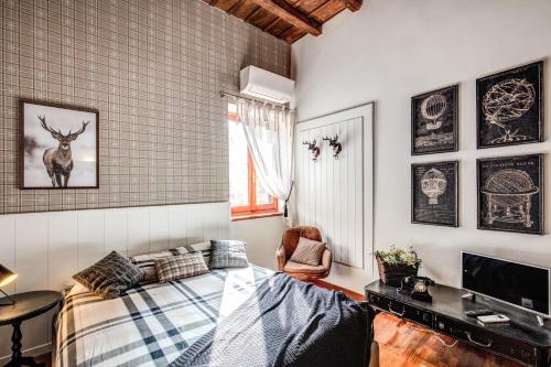 Colosseo Miracle Suite - image 6