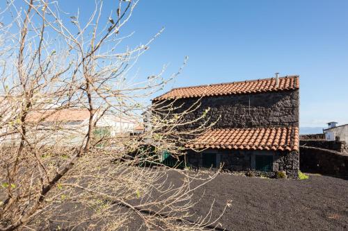 Adega do Boqueirao - image 13