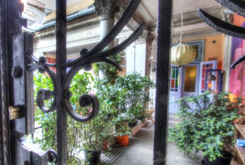 Lavender Circus Hostel Doubles & Ensuites - main image