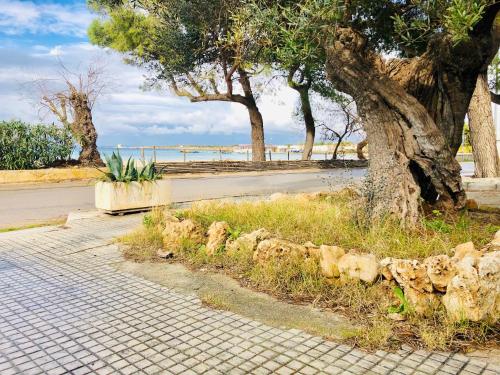  Villa Gaudí in Sant'Isidoro