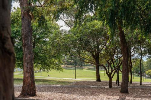 Parkview, Newtown, Sydney in Camperdown