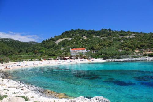 Rooms by the sea Hvar - 8785, Hvar (fotografie 9)