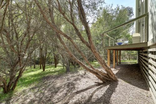 ジップスランド地域 Casuarina 3つ星 シングルルーム 眺望