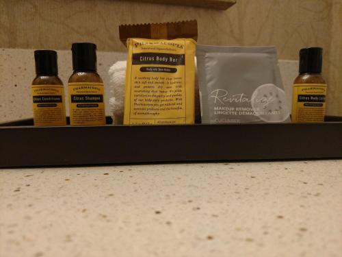 Best Western Plus Dayton - image 13