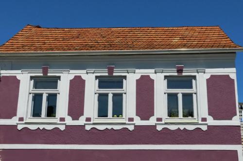 Traubengarten Winkler in Niederhollabrunn