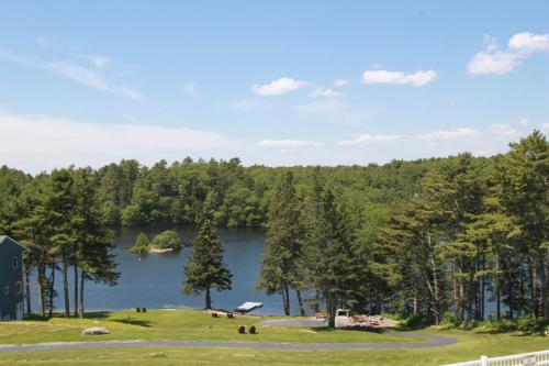 Beach Cove Waterfront Inn - image 8