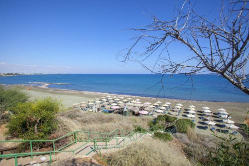 Faros BeachFront Villa - image 11