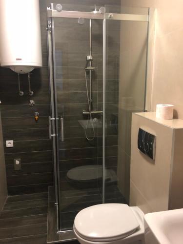 Apartman Rajkovic - image 5