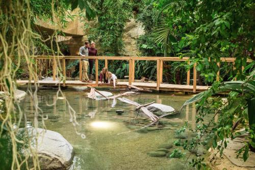 Center Parcs Park Allgäu Center Parcs Park Allgäu