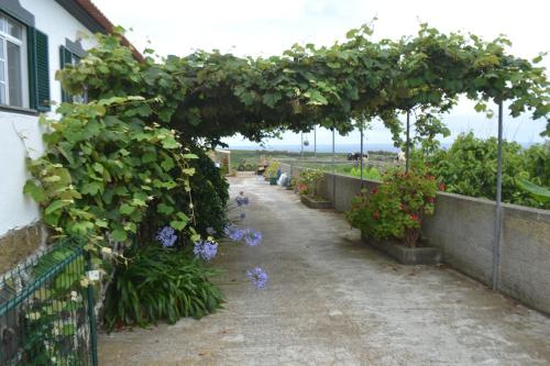 ทัศนียภาพภายนอกโรงแรม, TINA - 3C - Alojamento Local -RRAL 1048 in อาลาโมส บราโวส