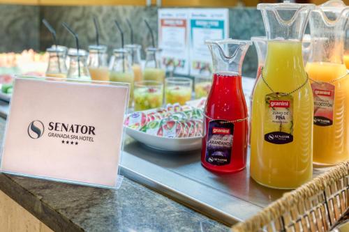 Senator Granada Spa Hotel - image 4