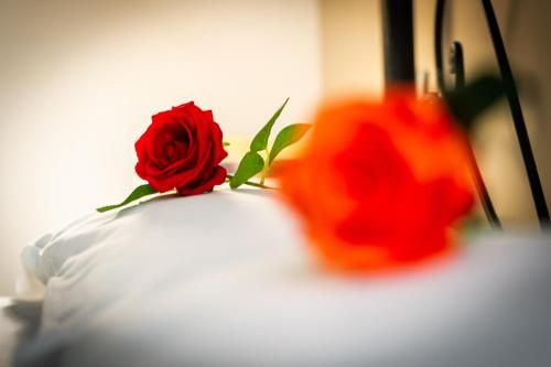 B&B Saint Paul – Rome