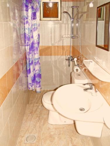 インターナショナル アラブ ダイバーズ ヴィレッジ