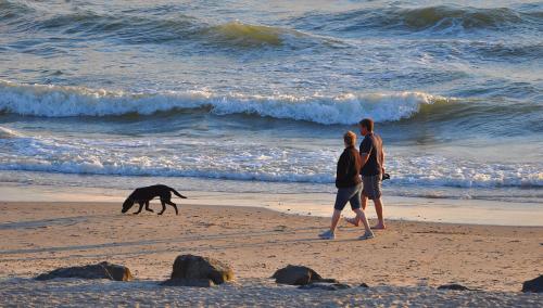 沙灘, Dancamps Holmsland in 維澤桑訥