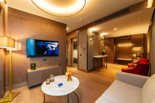Radisson Blu Hotel Vadistanbul - image 2