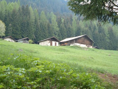  Chalet Nel Doch in Canal San Bovo
