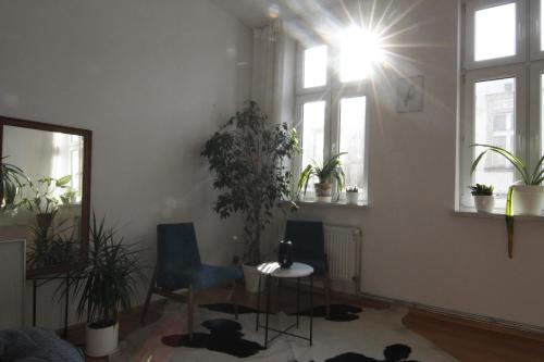 Apartament na modrzejowskiej pełen sztuki i zieleni