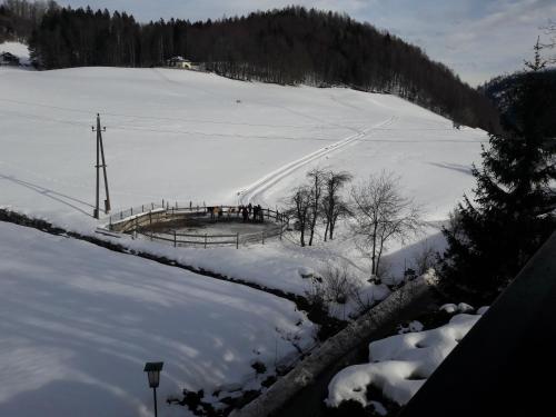  Christliche Ferienhäuser GRÜNE AU in St. Wolfgang