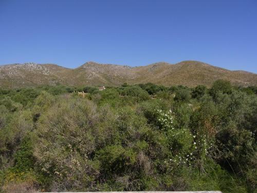  S´Oliva in Capdepera