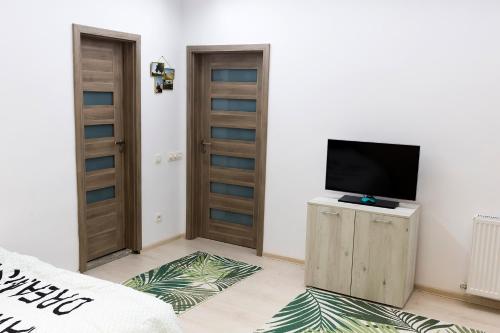 Central apartment- Shumi's