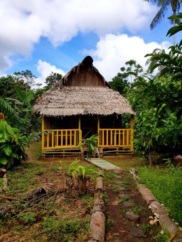 Omshanty Jungle Lodge