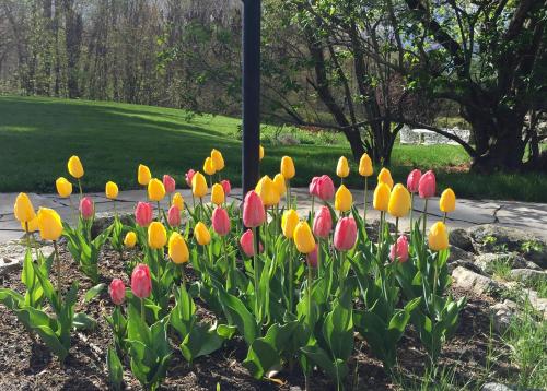 Maguire House Bed and Breakfast Andover (MA)