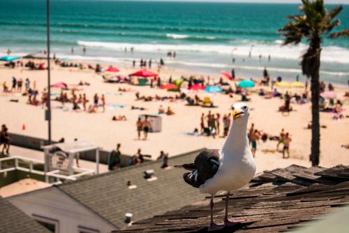 The Beach Cottages in San Diego, USA