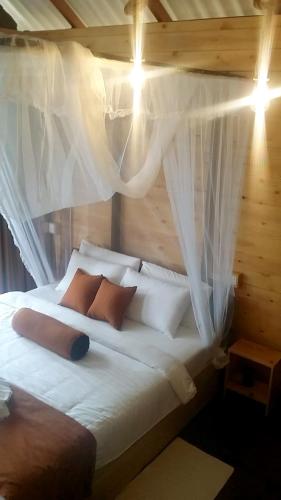 Saffron Eco Cottage