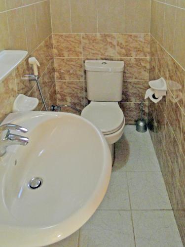 インターナショナル アラブ ダイバーズ ヴィレッジ