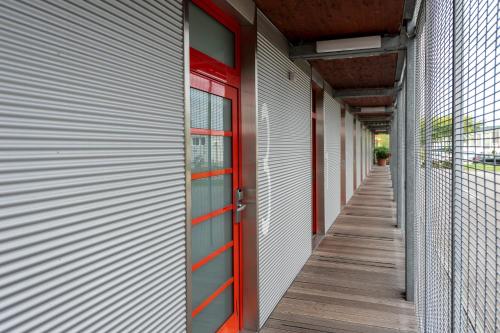 Orange Wings Krems - image 7