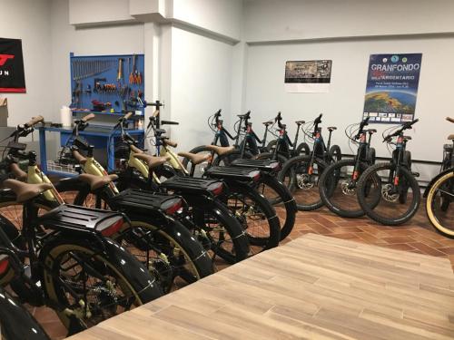 Bike&Boat Argentario Hotel - image 12