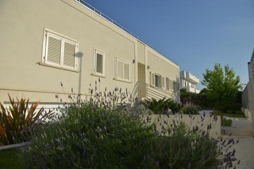 Appartamenti Giglio di Mare