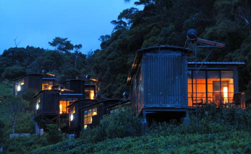 The Rainforest Ecolodge - Sinharaja