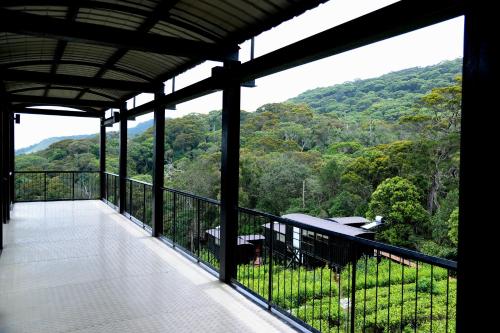 The Rainforest Ecolodge - Sinharaja