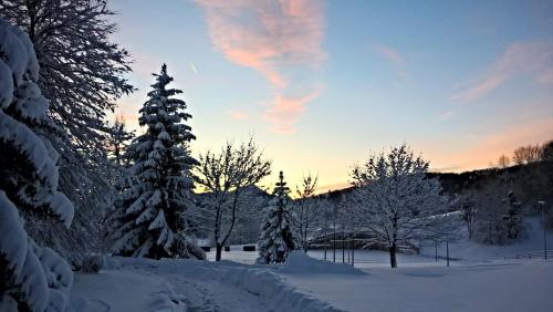 Guesthouse Bor Plitvice Lakes