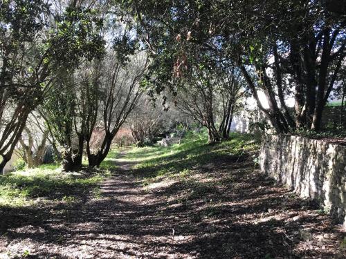 Residence hoteliere A TRAMA