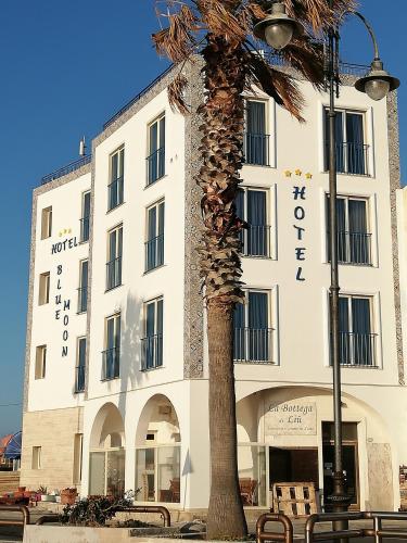 . Blue Moon Hotel