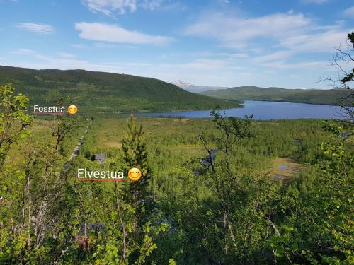 Elvestua - image 3